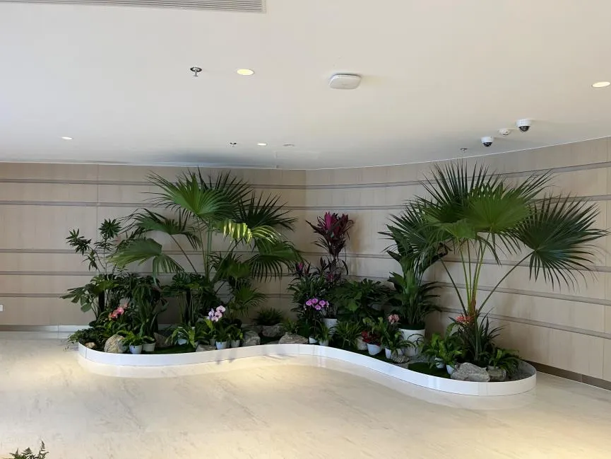 惊！宁波江北植物租摆价格大揭秘，超乎想象！